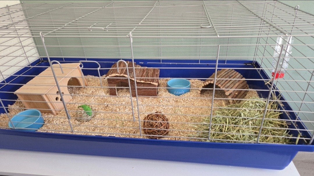 Caviakooi met hennepvezel, Ophalen of Verzenden, Kooi, Minder dan 60 cm