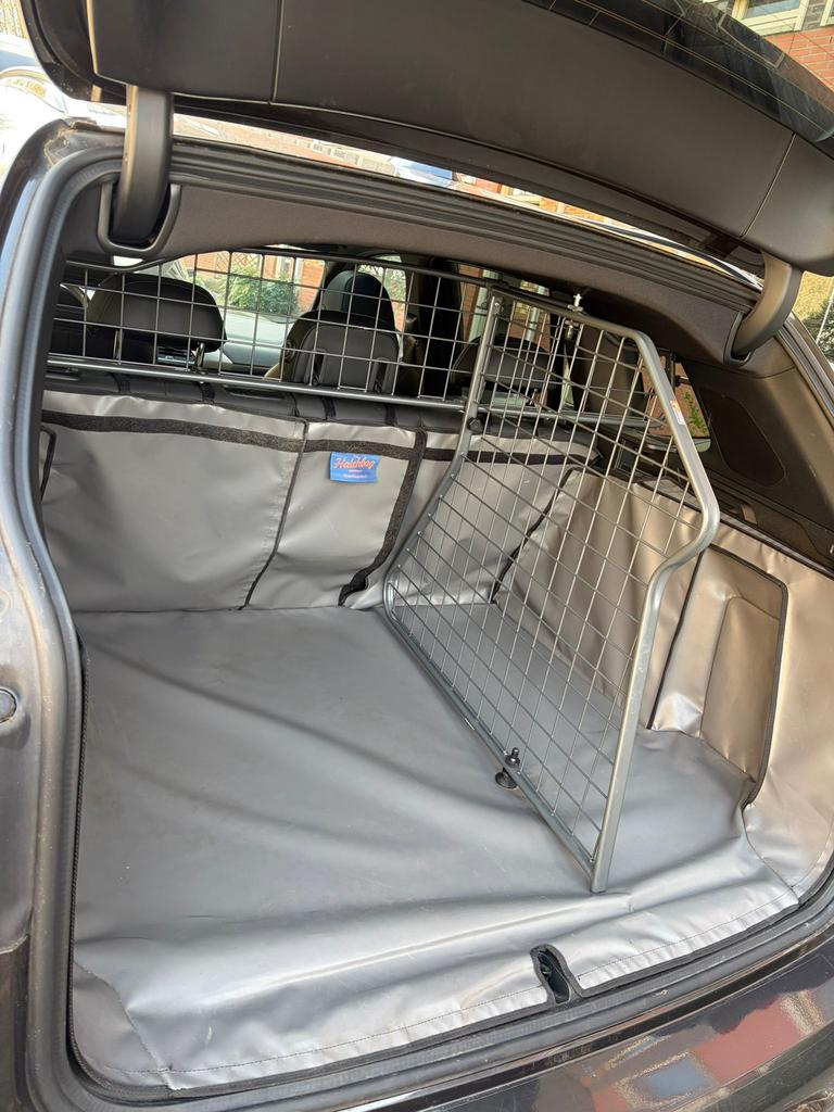 Hondenrek met midden rek voor een BMW IX3, Auto-onderdelen, Ophalen, BMW