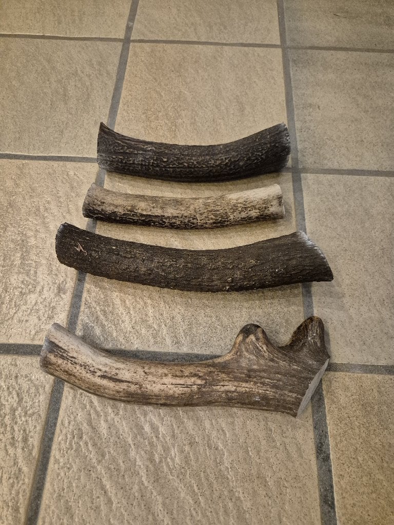 4 Honden snack gewei kauw bot samen € 22 lengte ca 19 cm, Verzamelen, Ophalen of Verzenden, Gebruikt, Hert, Gewei of Kop