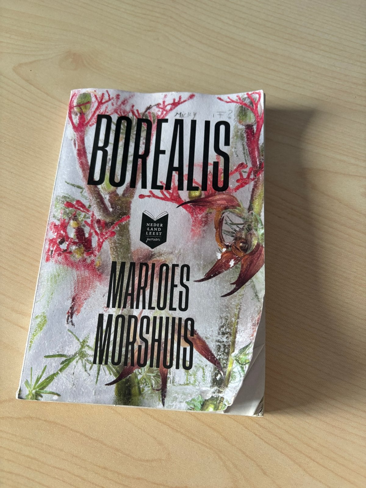 Borealis - Marloes Morshuis (Nederland Leest Junior), Ophalen of Verzenden, Gelezen, Fictie algemeen