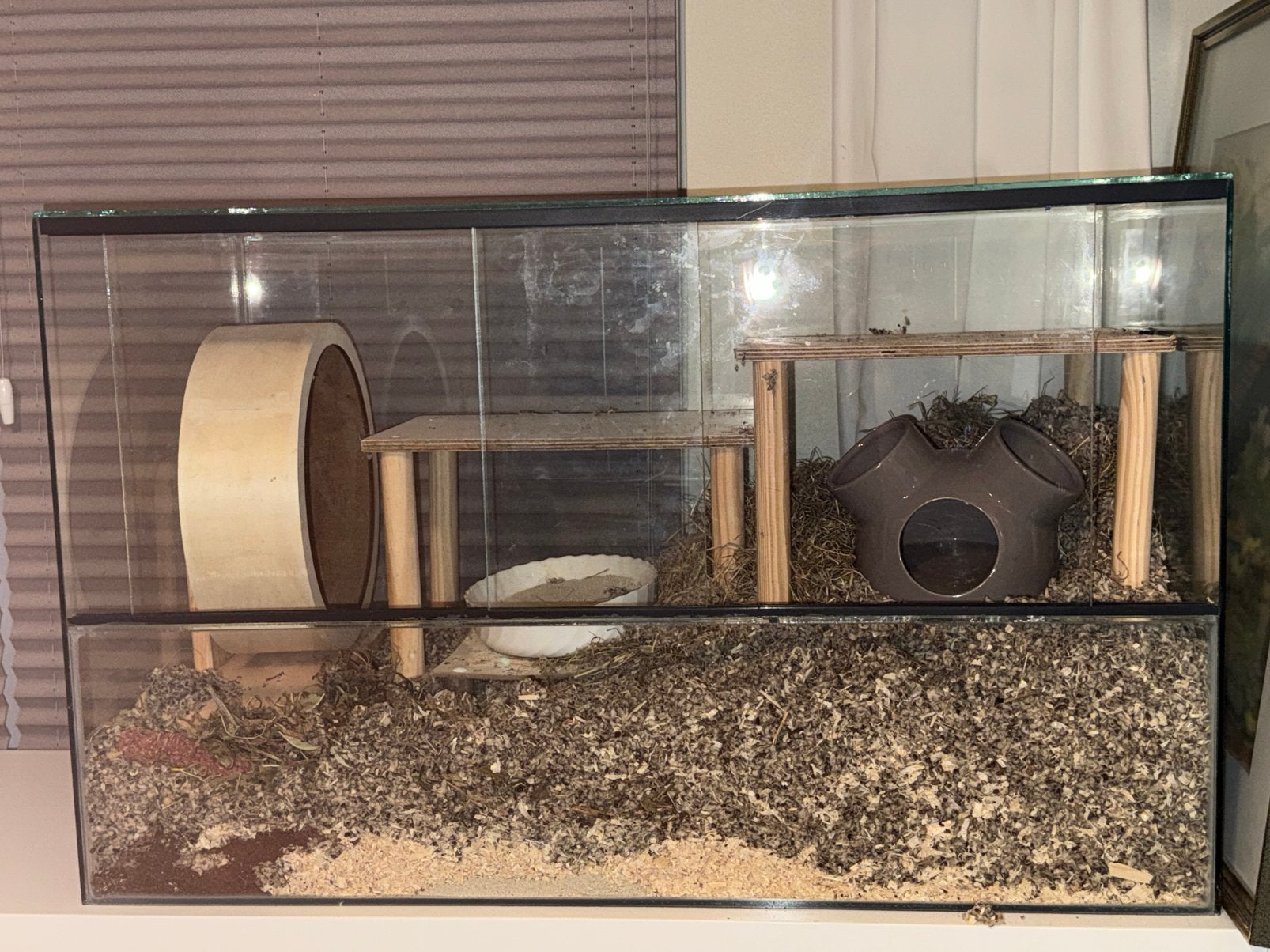 Hamsterhok met bijbehorende spullen!, Dieren en Toebehoren, Knaagdieren en Konijnen | Hokken en Kooien, Ophalen, Minder dan 75 cm
