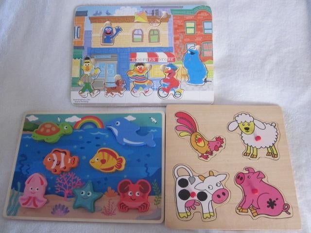 3 houten puzzels /sesamstraat/vissen en dieren, Ophalen of Verzenden, Zo goed als nieuw, Van hout, Minder dan 10 stukjes
