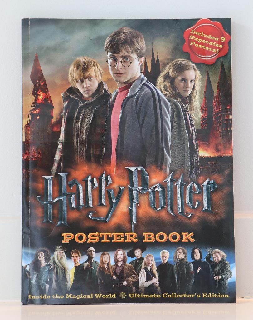Harry Potter posterboek, Ophalen of Verzenden, Nieuw, Boek of Poster