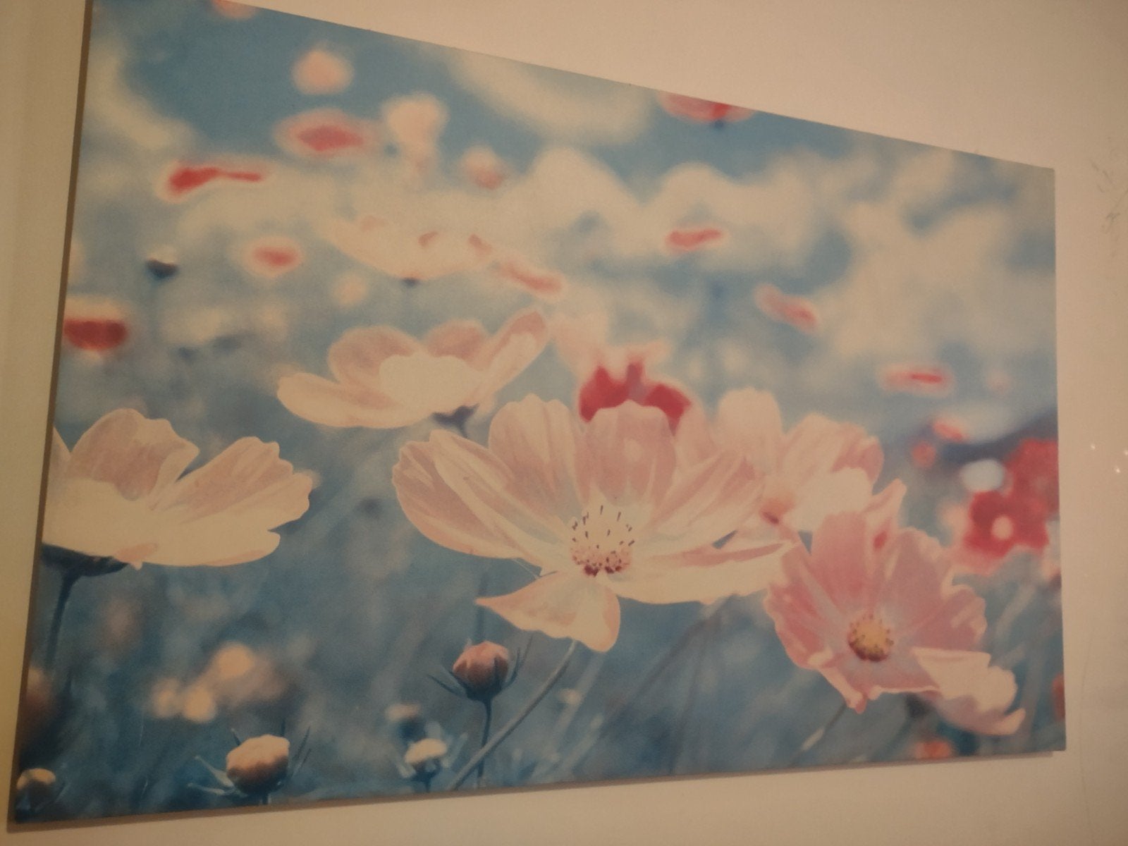 Schilderij met bloemenprint, Huis en Inrichting, Ophalen, 50 – 75, Gebruikt, Schilderij