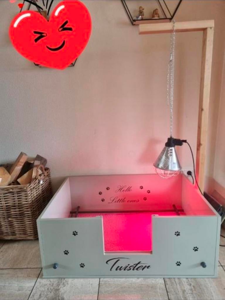 TE HUUR!!! Werpkist en puppyren plus alle toebehoren, Dieren en Toebehoren, Hondenmanden, Ophalen, Overige