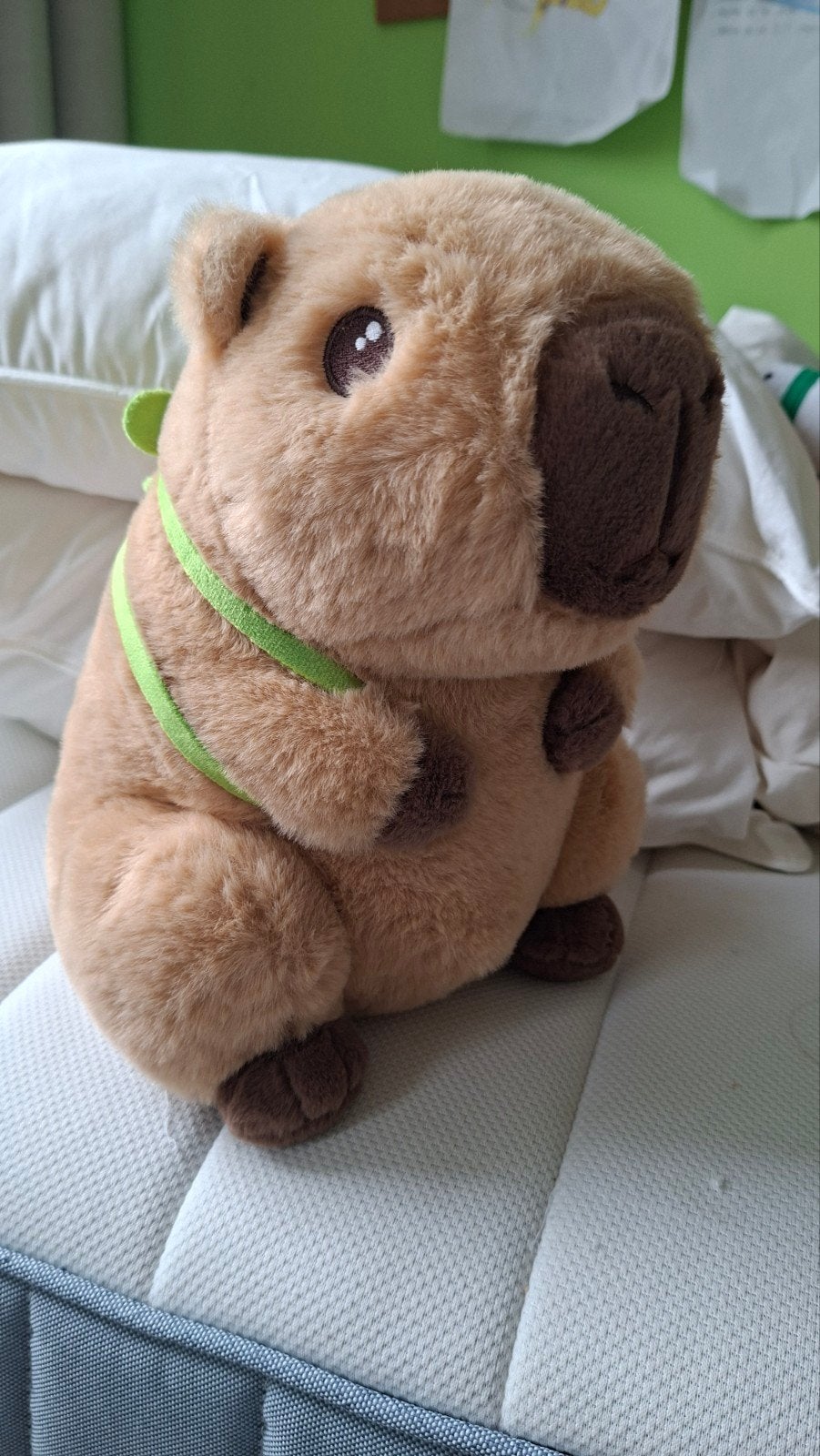 Capibara-knuffel, Kinderen en Baby's, Speelgoed | Knuffels en Pluche, Ophalen, Nieuw, Overige typen, Middelgroot (20 tot 80 cm)
