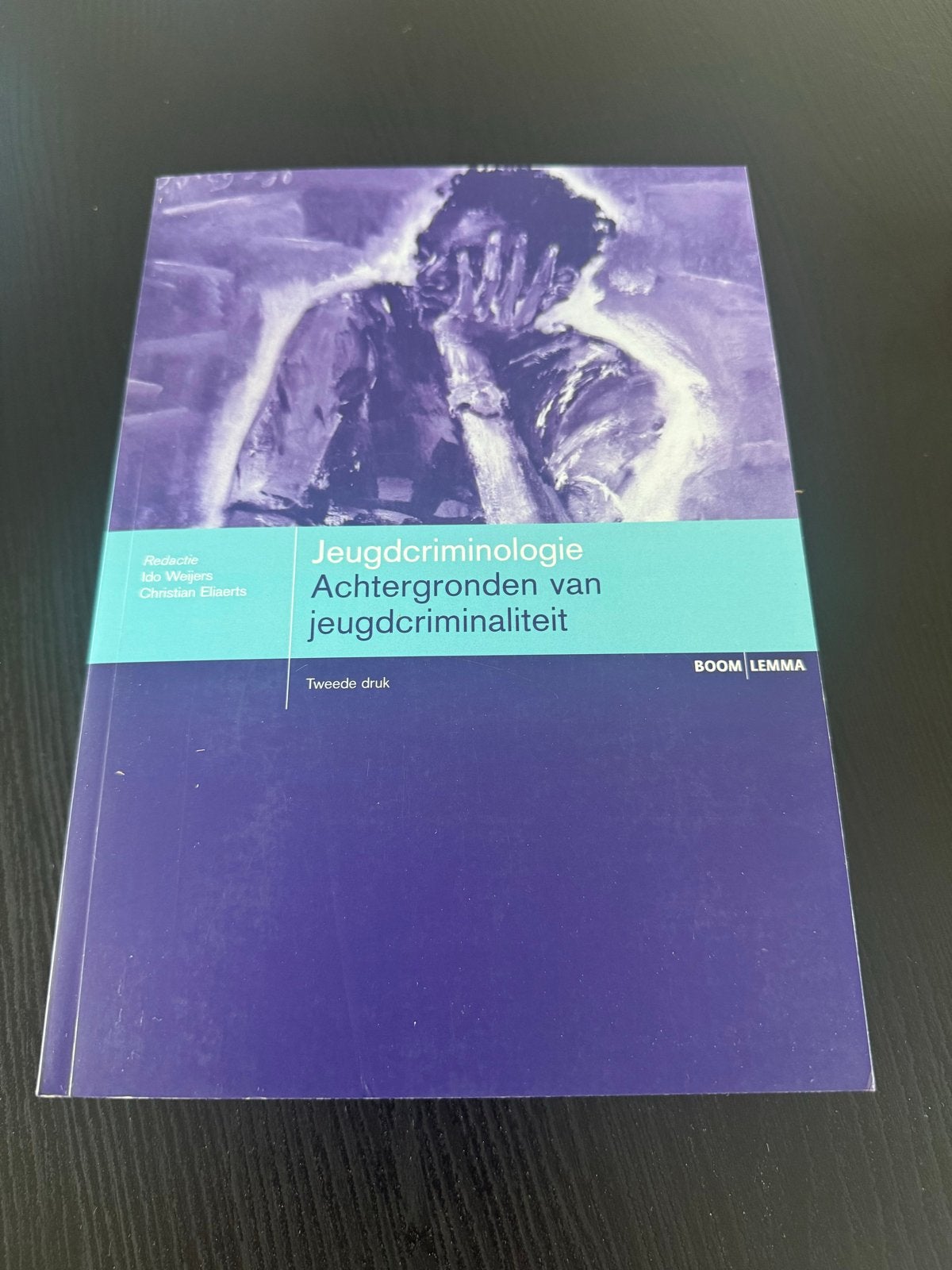Jeugdcriminologie: Achtergronden van jeugdcriminaliteit, Boeken, Ophalen of Verzenden, Nieuw