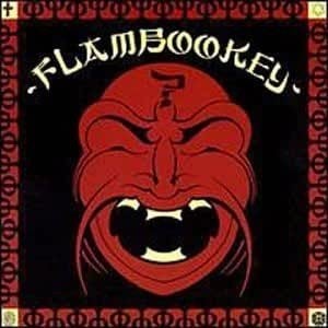 cd van Flambookey - Flambookey, Verzenden, Zo goed als nieuw, Poprock