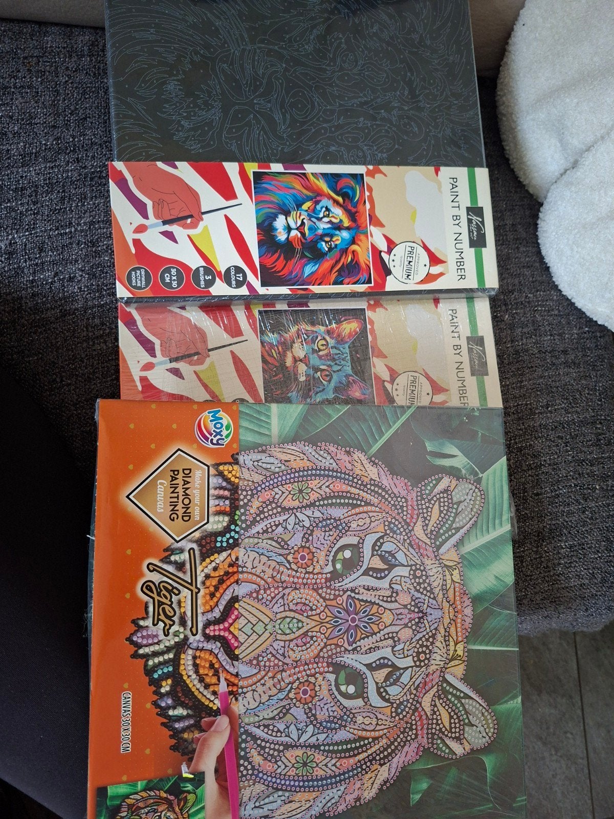 Nieuwe Paint by Number & Diamond Painting sets, Ophalen of Verzenden, Nieuw, Schilderen op nummer