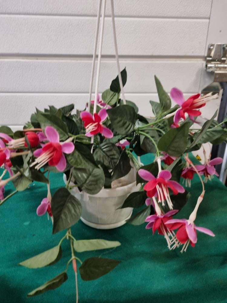 kunsthangplant fuchsia in witte pot, Ophalen of Verzenden, 'T Olde Gre-j, Info@toldegrej.nl, Endepoelstraat 20f Didam