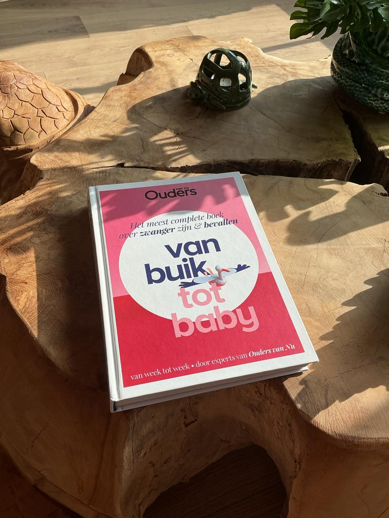 Van buik tot baby: Het complete boek over zwanger & bevallen, Ophalen of Verzenden, Zo goed als nieuw, Zwangerschap en Bevalling