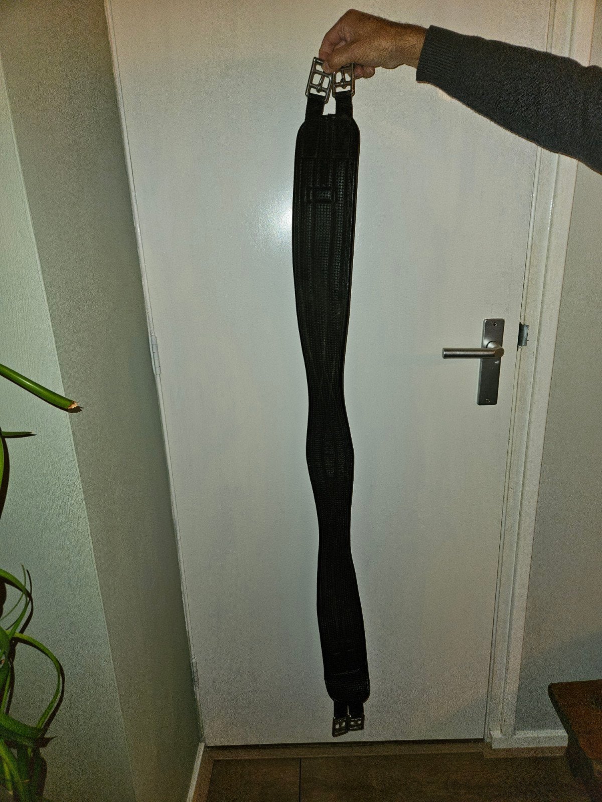 singel, Dieren en Toebehoren, Ophalen, Recreatie, Singel, Cob