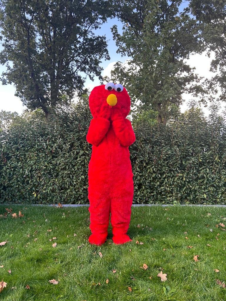 Te Huur: Elmo-Kostuum, Verjaardag, Carnaval, Sesamstraat, Ophalen of Verzenden, Zo goed als nieuw, Verjaardag