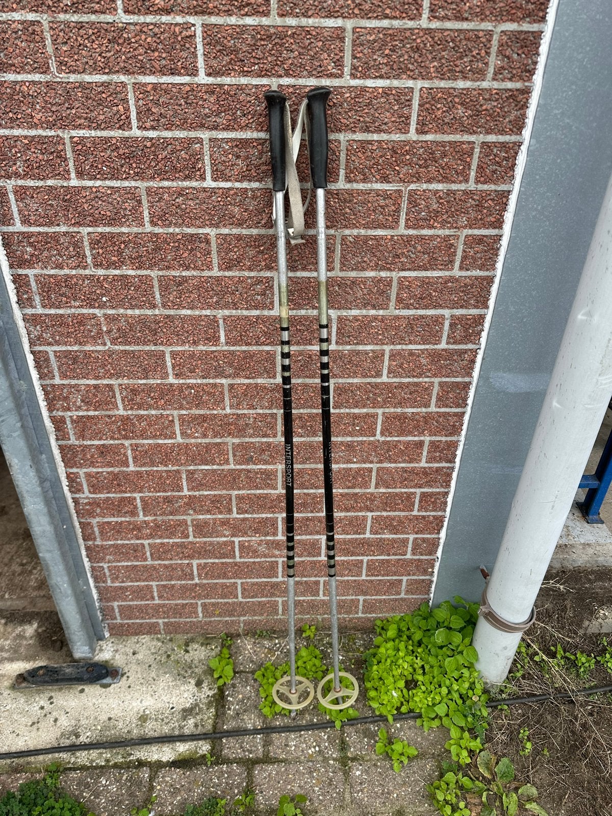 Intersport skistokken 130 cm, Gebruikt, Stokken, Skiën, Ophalen