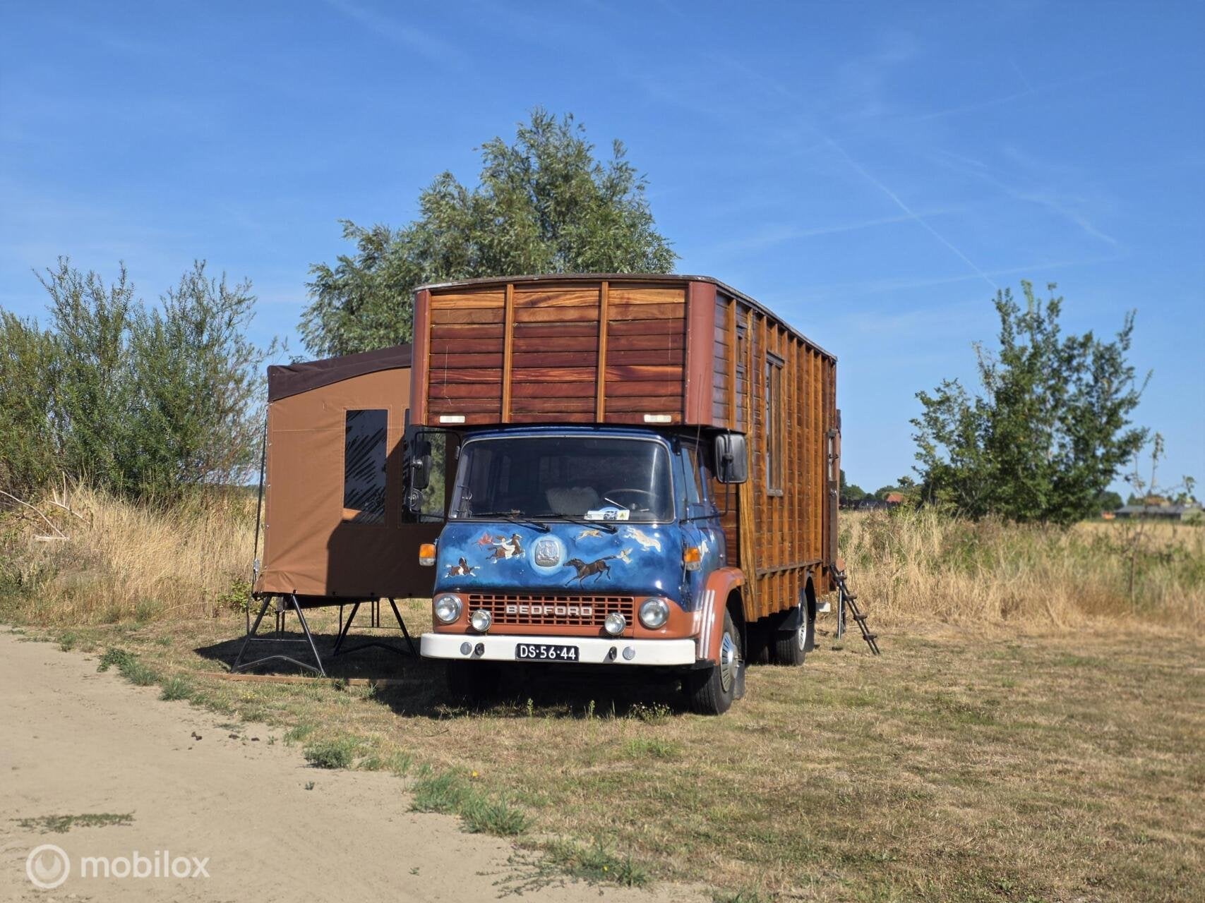 Foto 10 van Bedford TK Camper