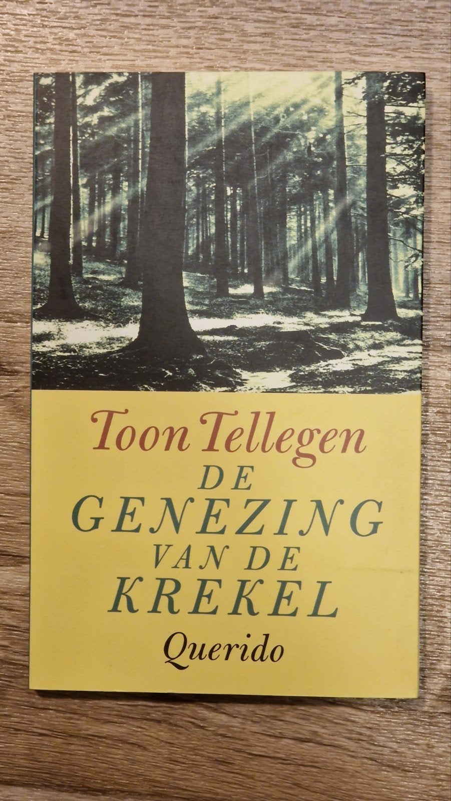 De Genezing van de Krekel - Toon Tellegen (Paperback), Ophalen of Verzenden, Zo goed als nieuw, Toon Tellegen