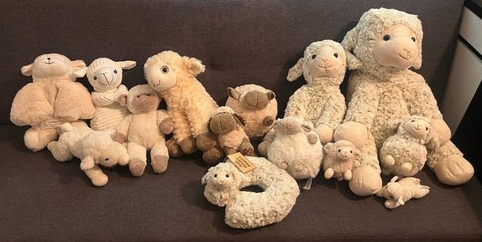 Grote schapen knuffel verzameling - Nieuwstaat, Ophalen, Overige typen, Nieuw, Middelgroot (20 tot 80 cm)