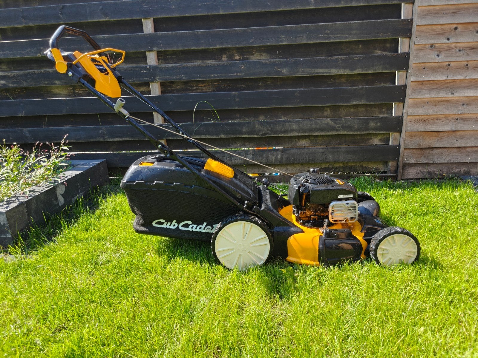 Cub Cadet LM3 CR53S grasmaaier zelfrijdend, Ophalen, Gebruikt, Mulchfunctie, Benzine-grasmaaier