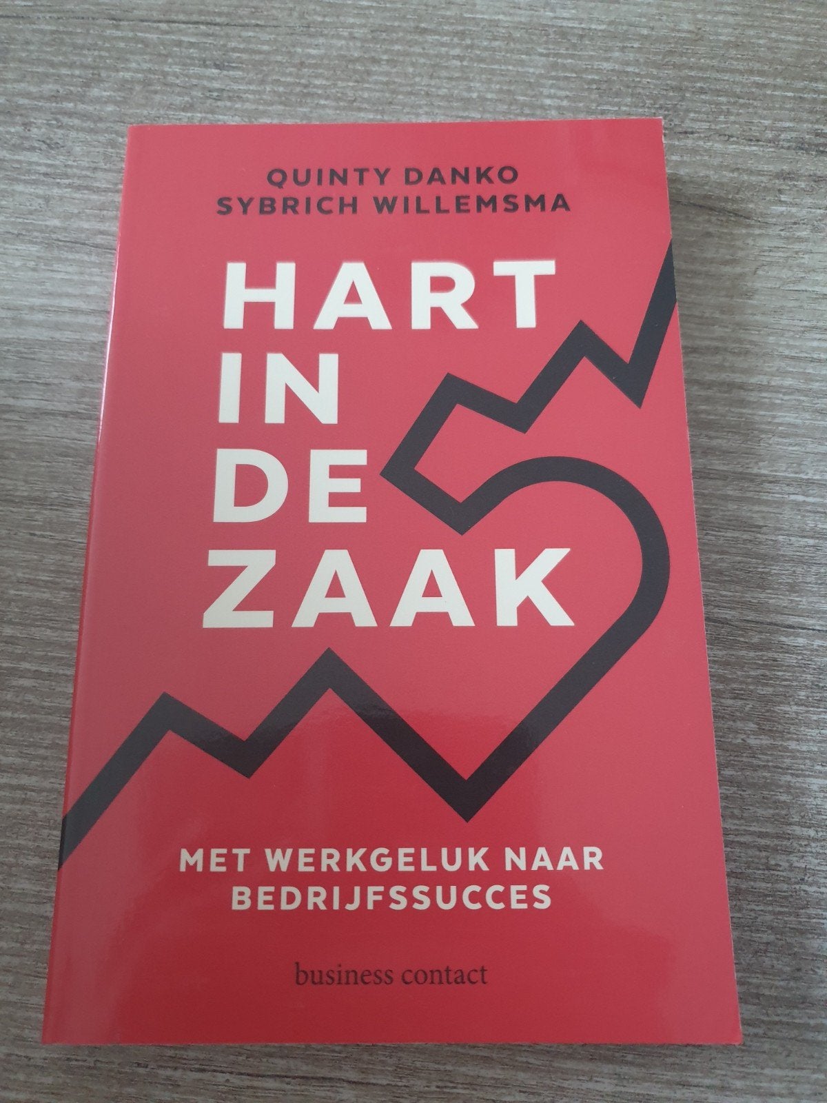 Hart in de Zaak: Met Werkgeluk naar Bedrijfssucces, Ophalen of Verzenden, Gelezen, Quinty Danko, Sybrich Willemsma
