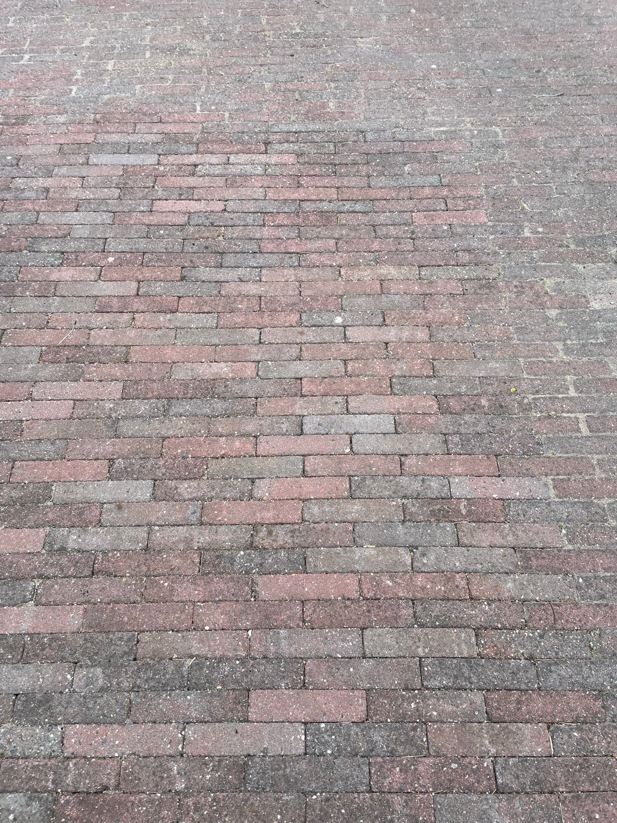 Gratis: Betonnen waaltjes (ca. 5m2), Tuin en Terras, Ophalen, Gebruikt, Klinkers, 5 tot 10 m²