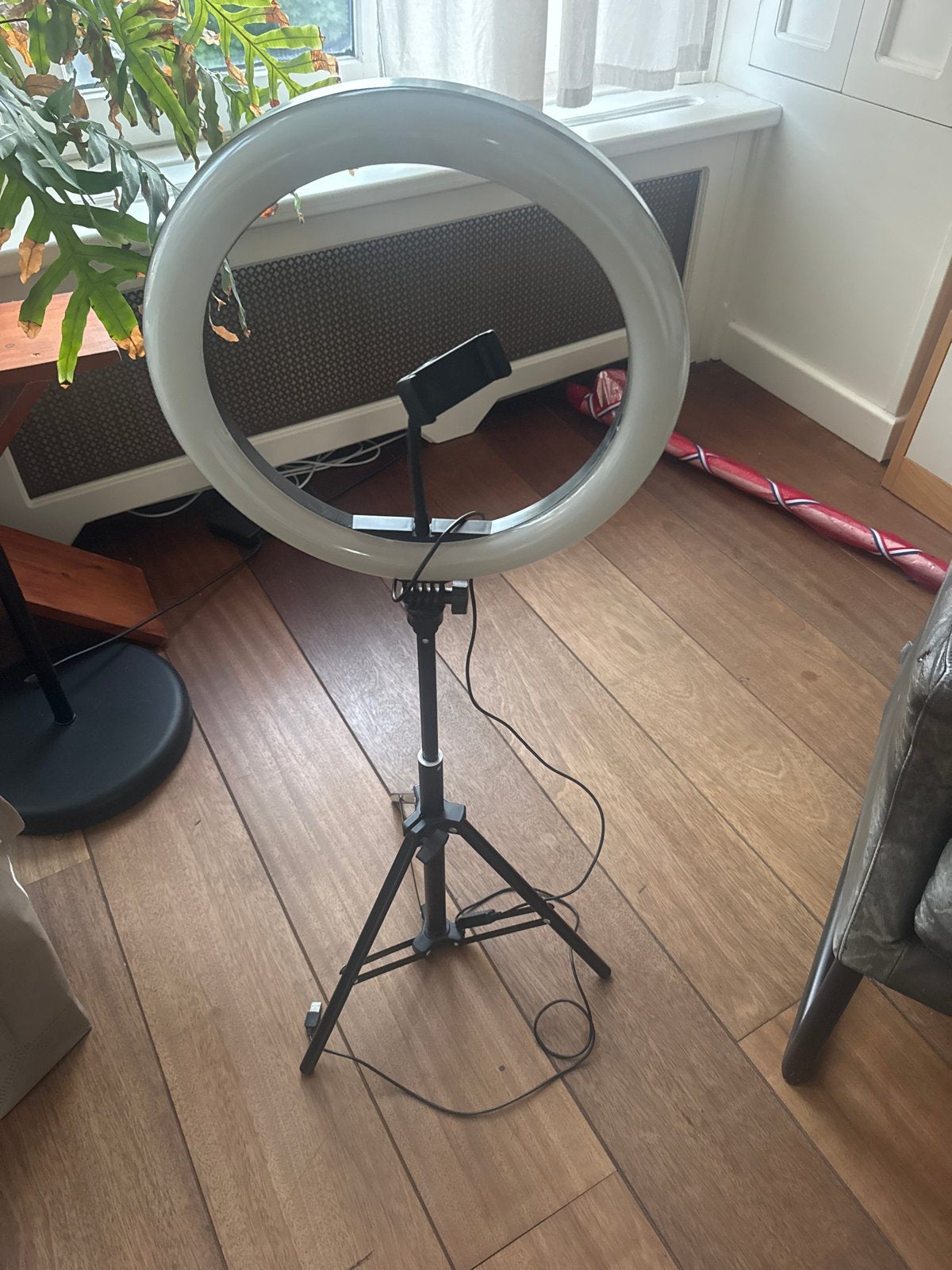 Ringlamp met statief en telefoonhouder, Audio, Tv en Foto, Fotografie | Fotostudio en Toebehoren, Zo goed als nieuw, Studiolamp