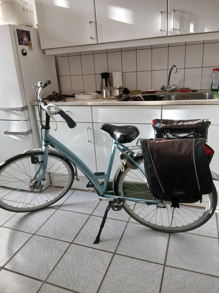 Damesfiets met lage instap en fietstassen, Fietsen en Brommers, Fietsen | Dames | Damesfietsen, Overige merken, Velgrem, Ophalen of Verzenden
