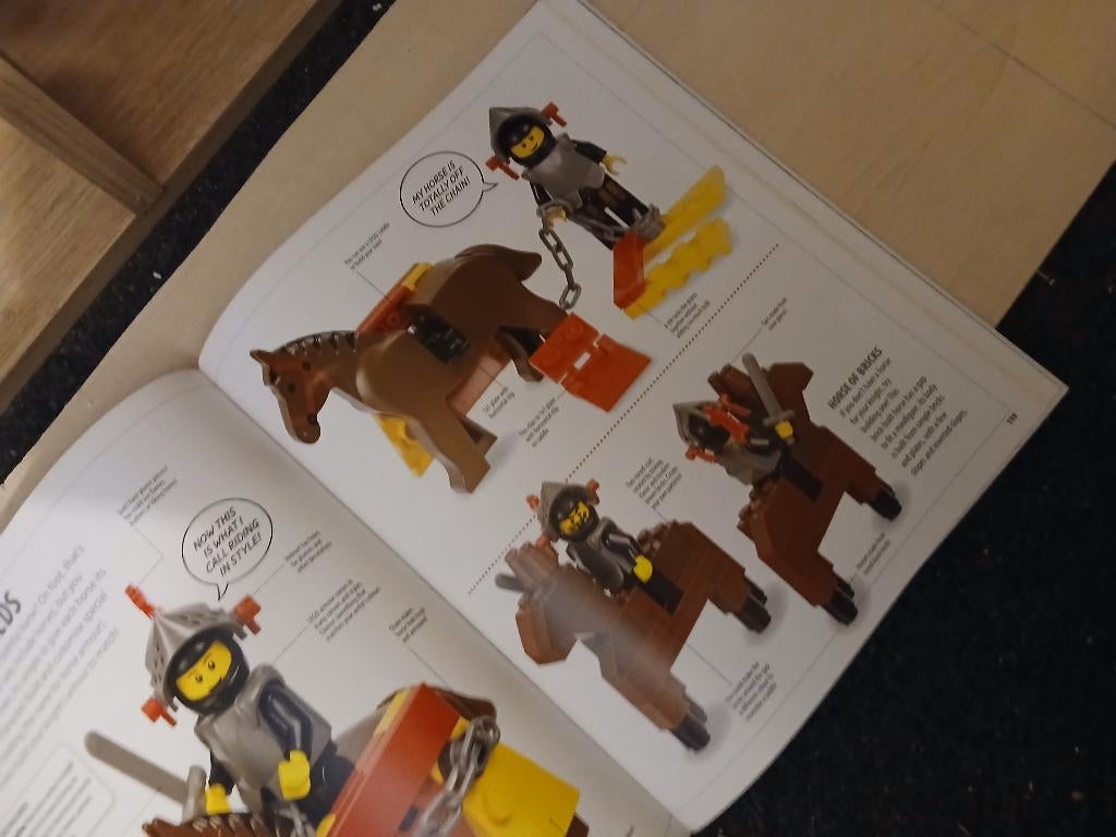 Lego boek, Ophalen of Verzenden, Gebruikt, Lego