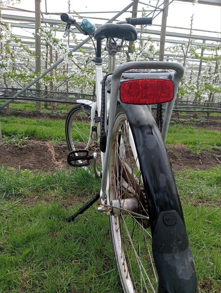 Batavus Diva kinderfiets, Ophalen, Gebruikt, 20 inch of meer, Batavus