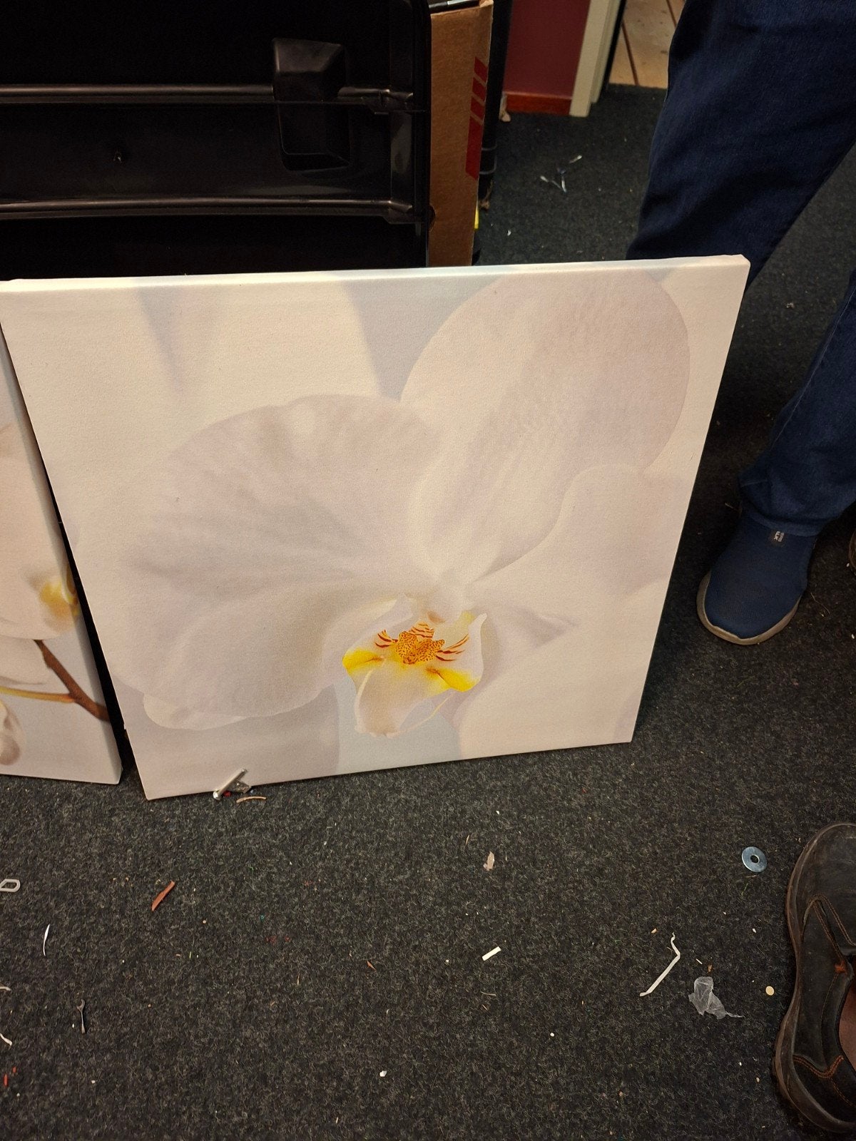 Set van 3 canvas schilderijen met orchideeën, 50 – 75, Ophalen of Verzenden, Zo goed als nieuw, Schilderij
