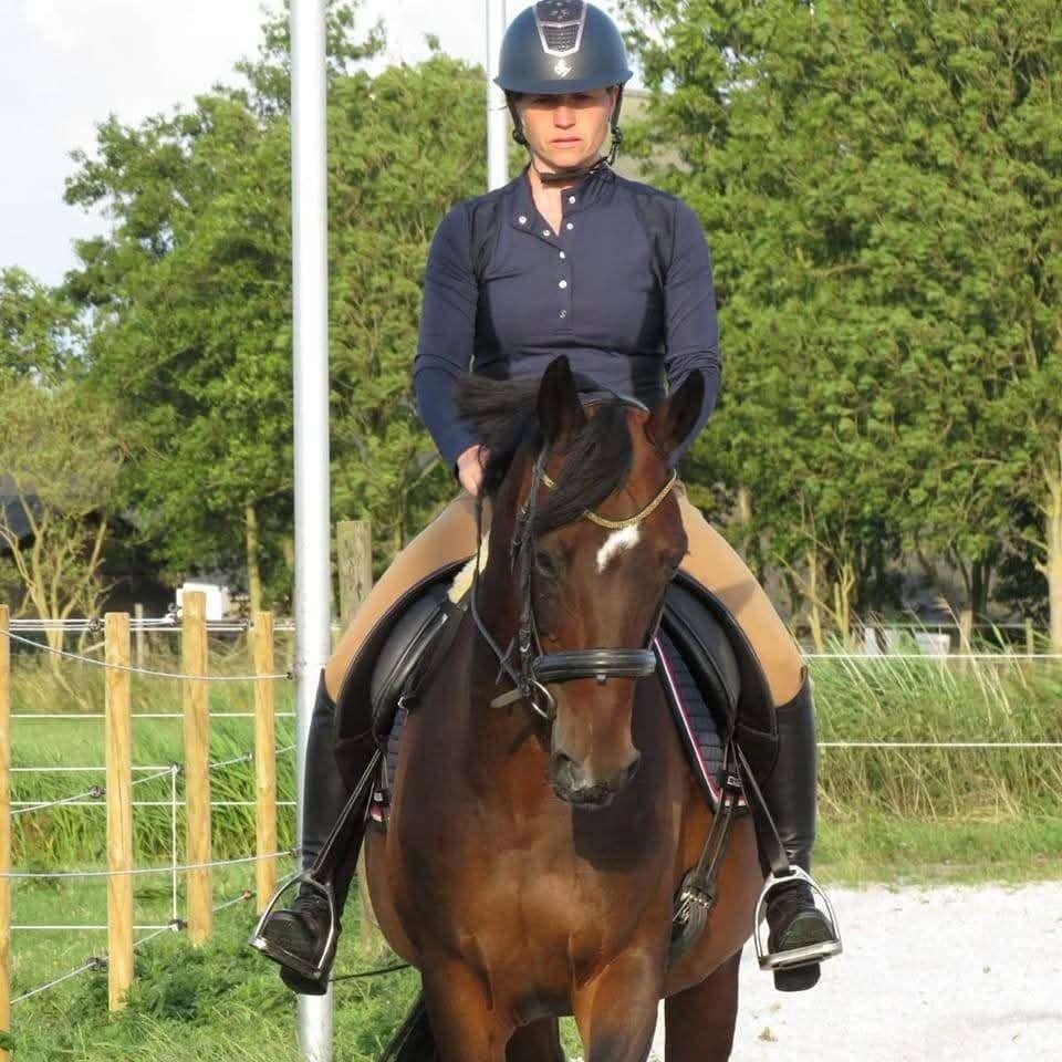 Lieve merrie te koop! MOET WEG!, Merrie, Met stamboom, M, Dressuurpaard