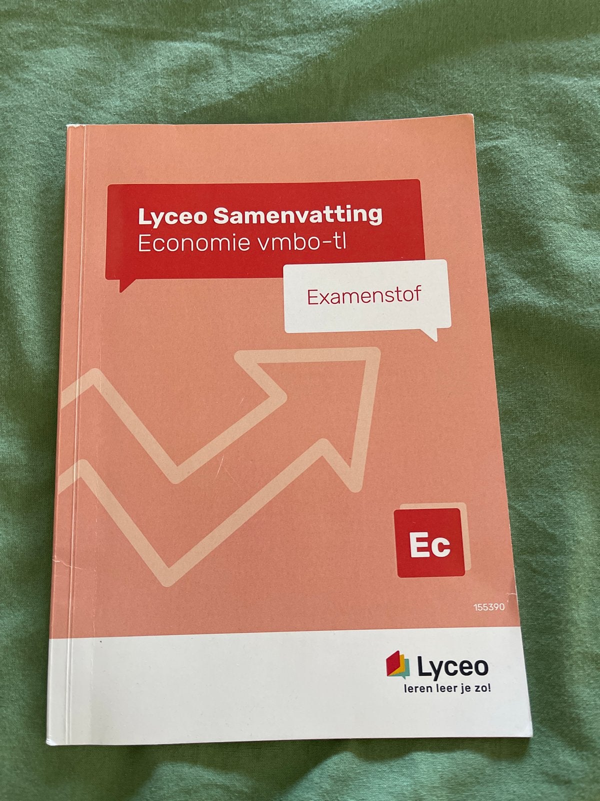 Lyceo Samenvatting Economie vmbo-tl Examenstof, Ophalen of Verzenden, Zo goed als nieuw, VMBO, Economie