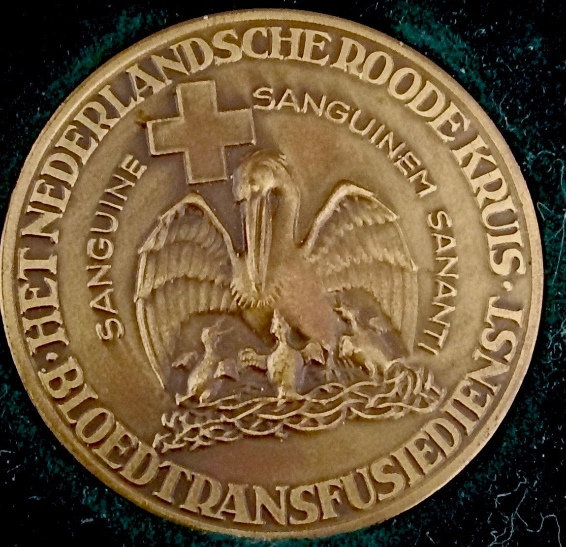 Zeldzame Medaille Nederlandse Rode Kruis Bloedtransfusiedien, Ophalen of Verzenden, Brons, Nederland