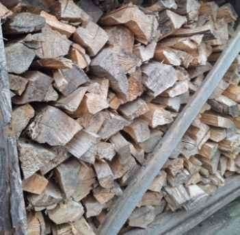 6,5 kuub Populieren hout, 6 m³ of meer, Ophalen, Overige houtsoorten, Blokken
