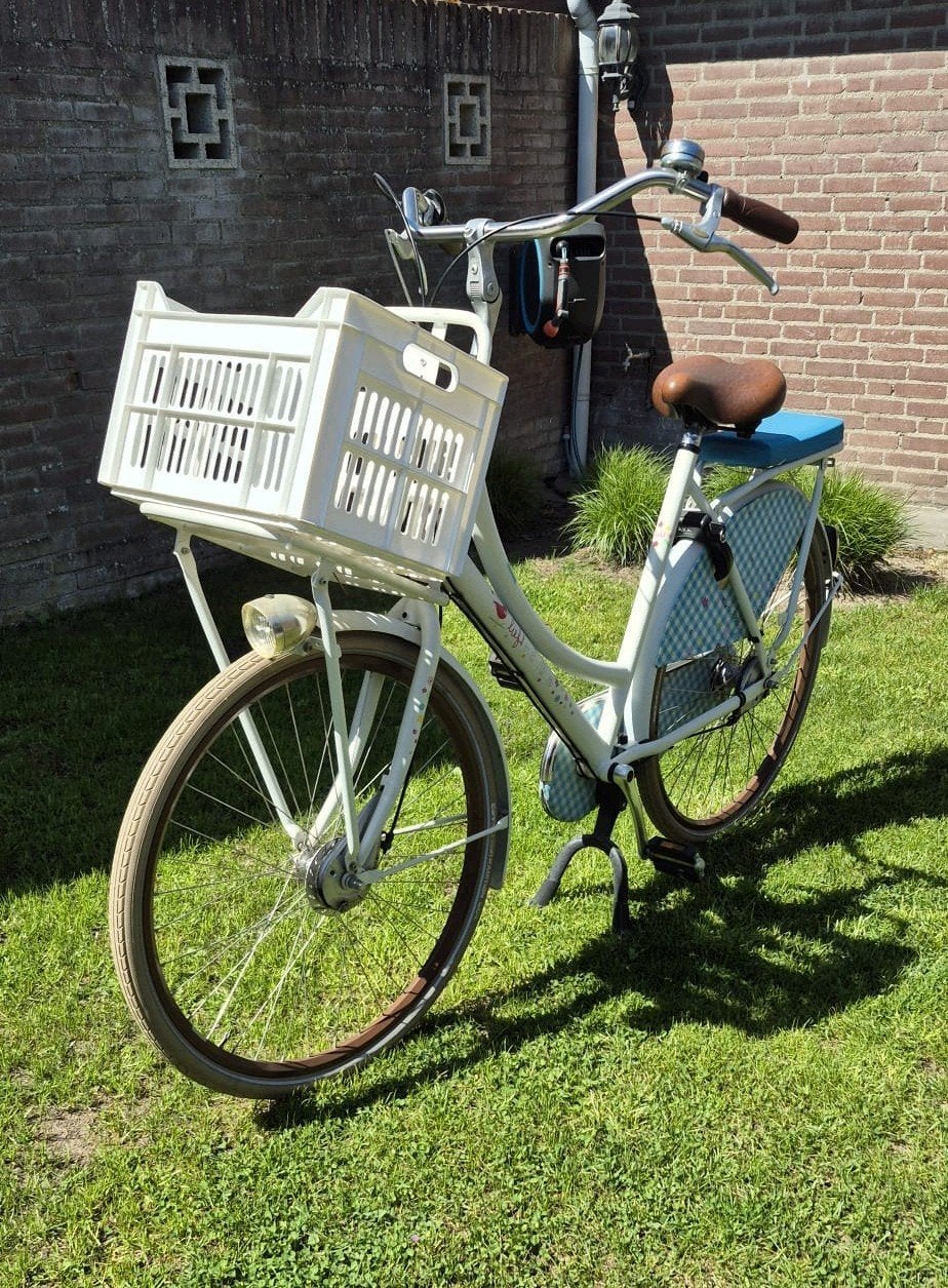 Cortina Lief damesfiets 28 inch, 55 cm, met voordrager, 53 tot 56 cm, Ophalen, Gebruikt, Overige merken