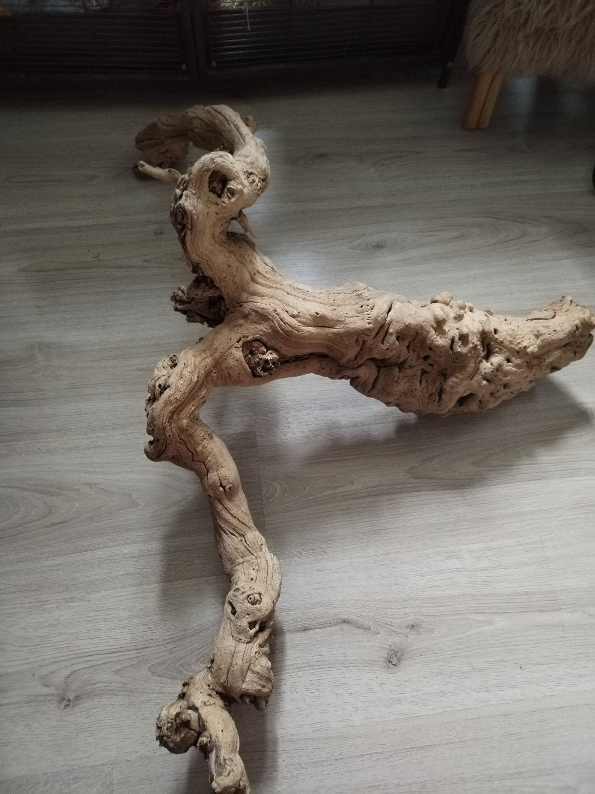 terrarium groot stuk hout 100 cm, Ophalen, Zo goed als nieuw