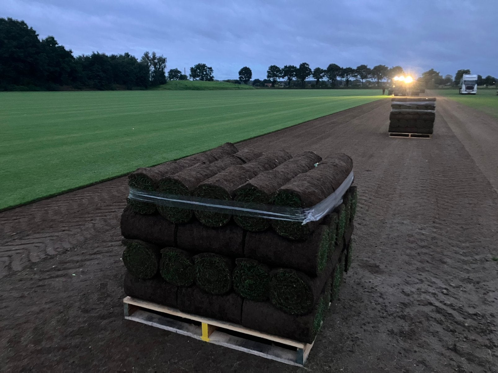 Graszoden top kwaliteit Vers van de aardbol gesneden, Ophalen of Verzenden, Nieuw, Minder dan 10 m²
