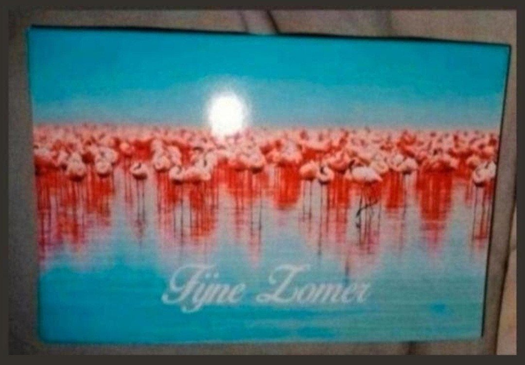 Ansichtkaart Flamingo's - Fijne Zomer, Ophalen of Verzenden, 1980 tot heden, Gelopen