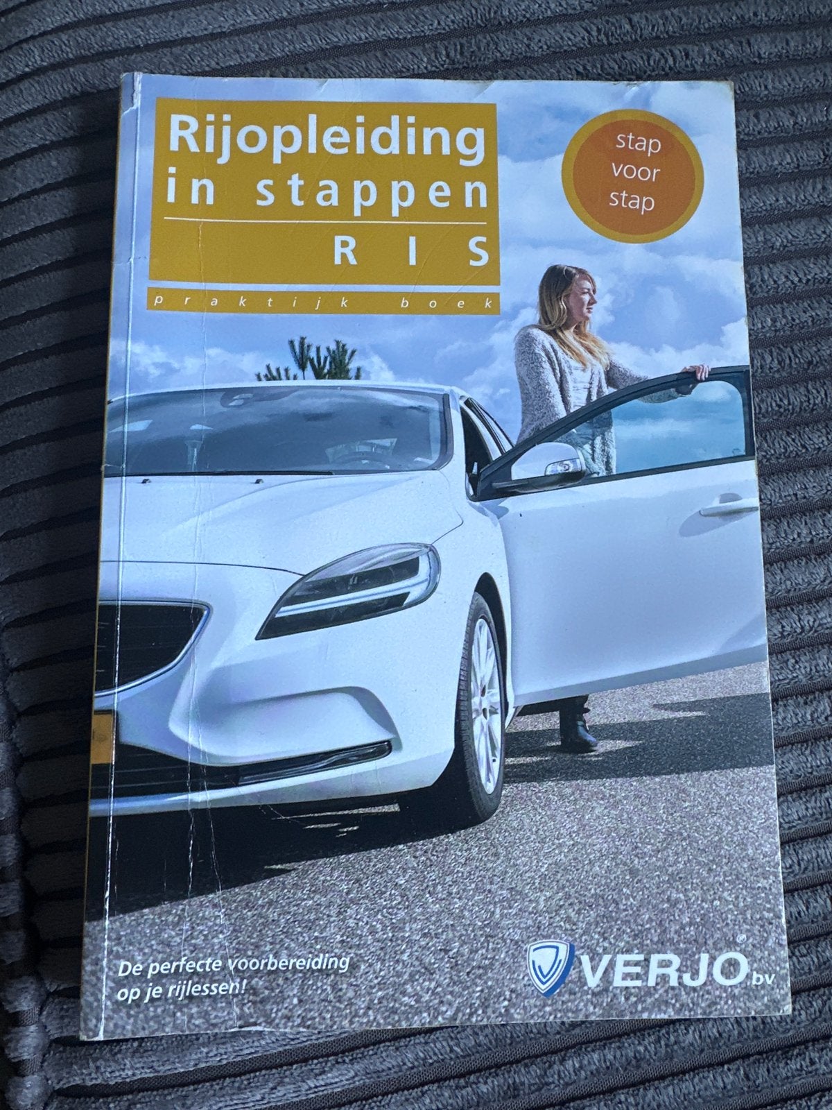Rijopleiding in stappen RIS praktijk boek, Boeken, Ophalen, Gamma, Zo goed als nieuw, Niet van toepassing