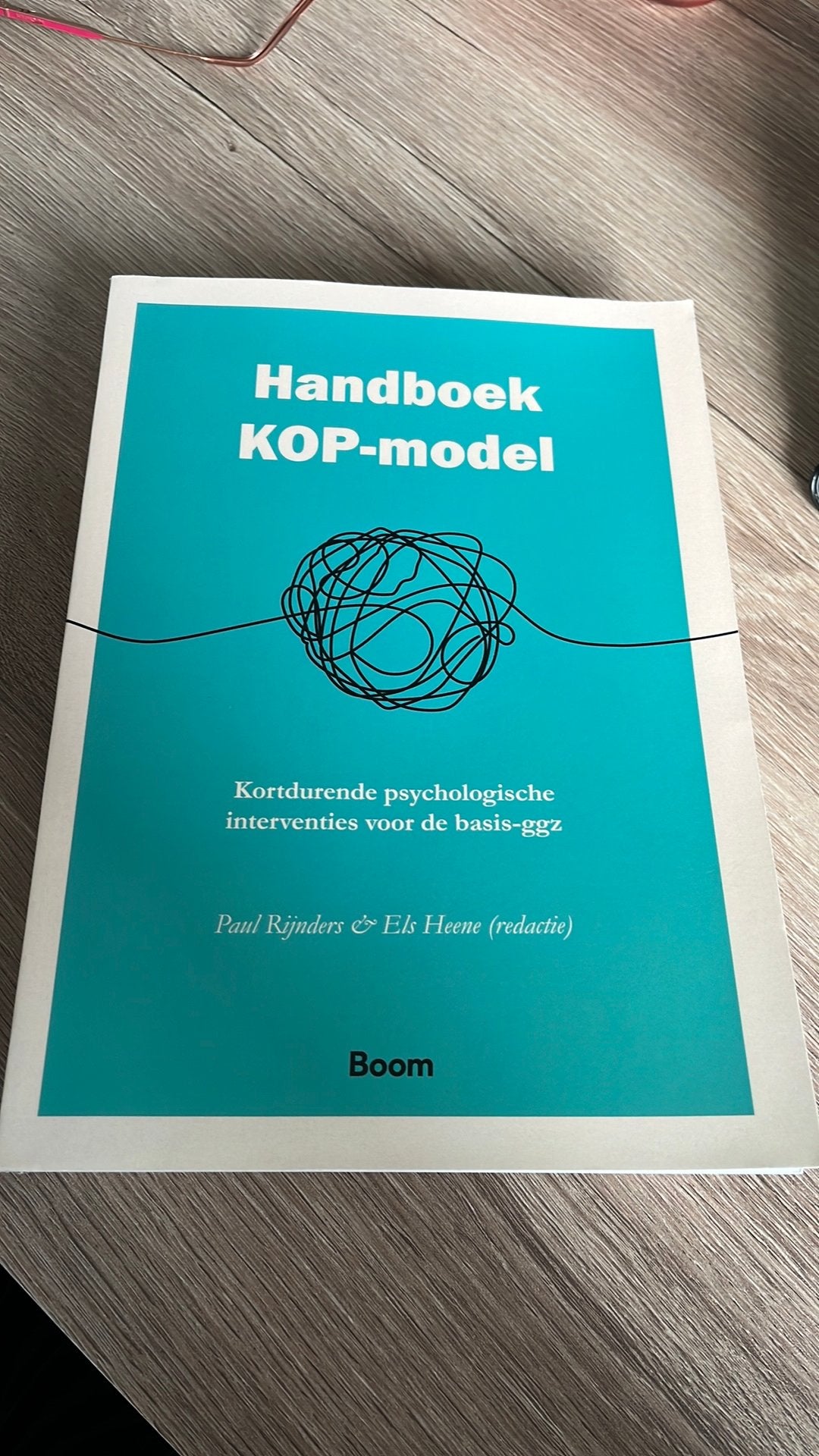 Paul Rijnders - Handboek KOP-model, Paul Rijnders; Els Heene, Ophalen of Verzenden, Ontwikkelingspsychologie, Zo goed als nieuw