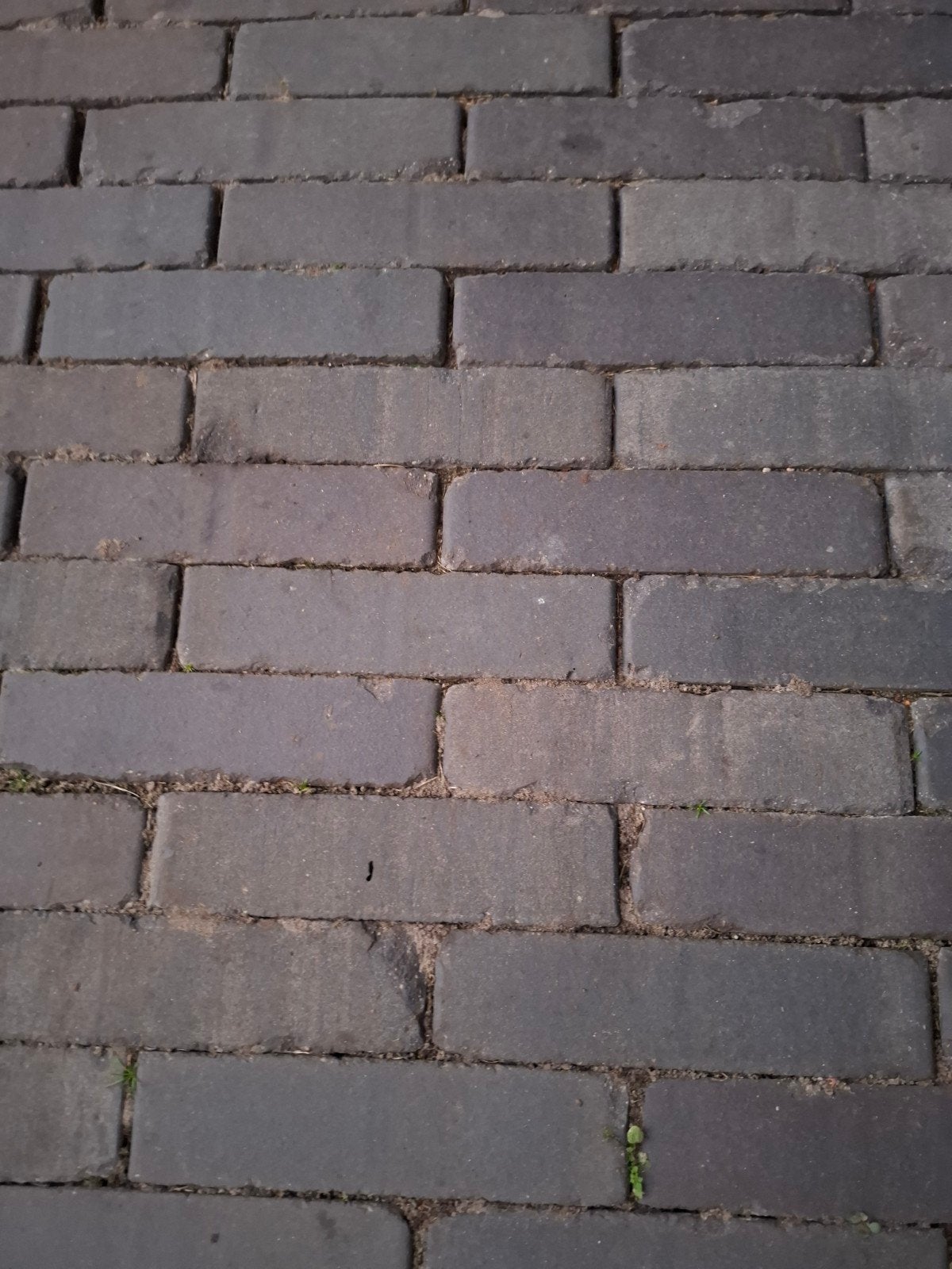 klinkers waalformaat +/_ 500stuks, Tuin en Terras, Ophalen, Klinkers, Nieuw, Minder dan 5 m²
