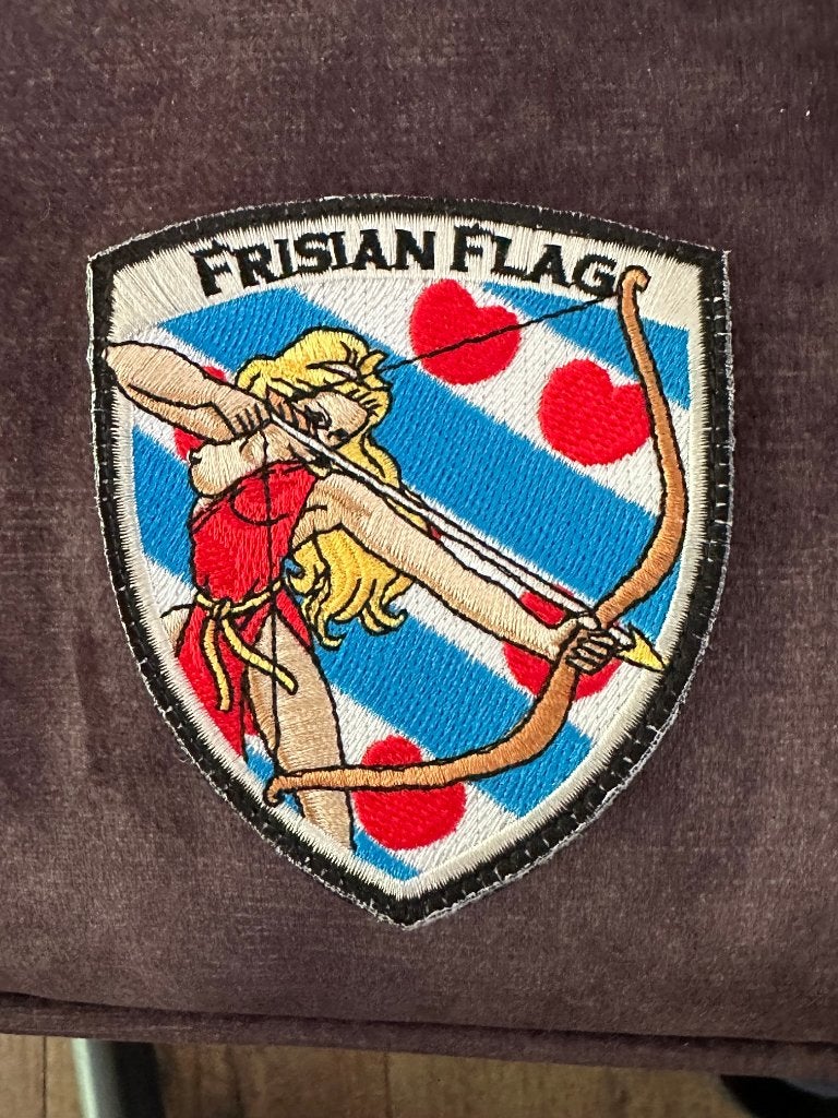 Frisian Flag patch, Ophalen of Verzenden, Gebruikt, Patch, Badge of Embleem