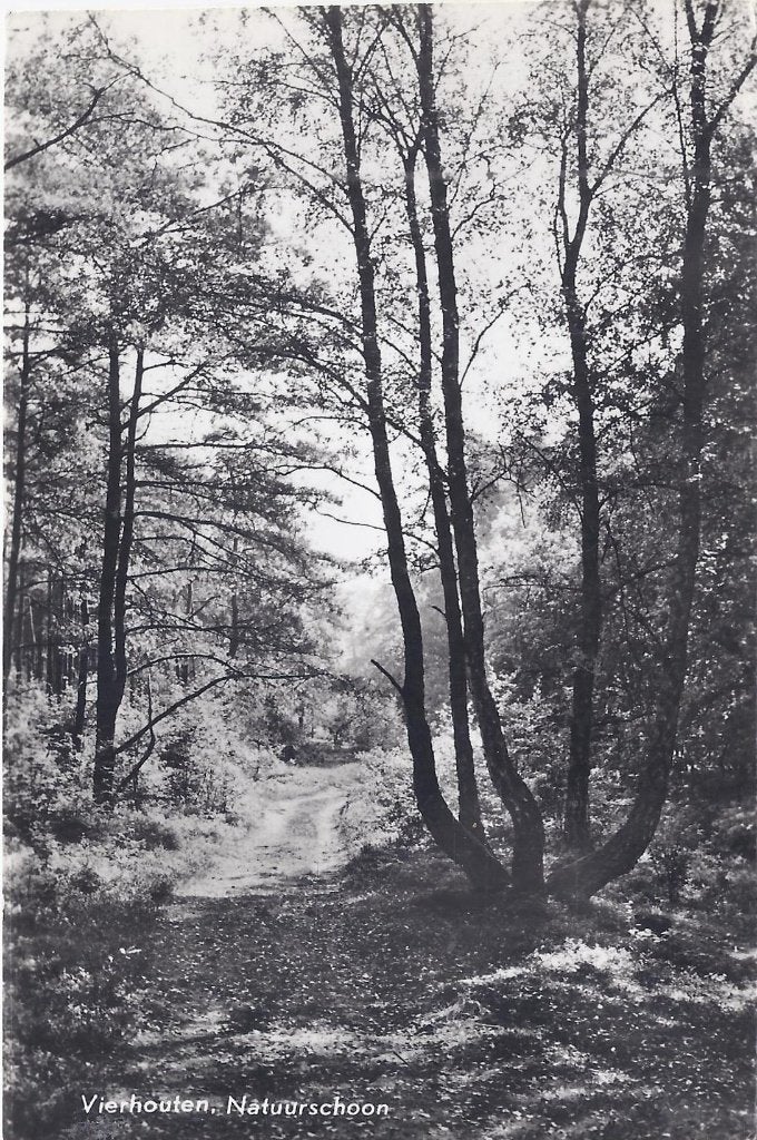 Vierhouten Natuurschoon Oude Gelopen Ansichtkaart ( P805, Ophalen of Verzenden, 1960 tot 1980, Gelopen