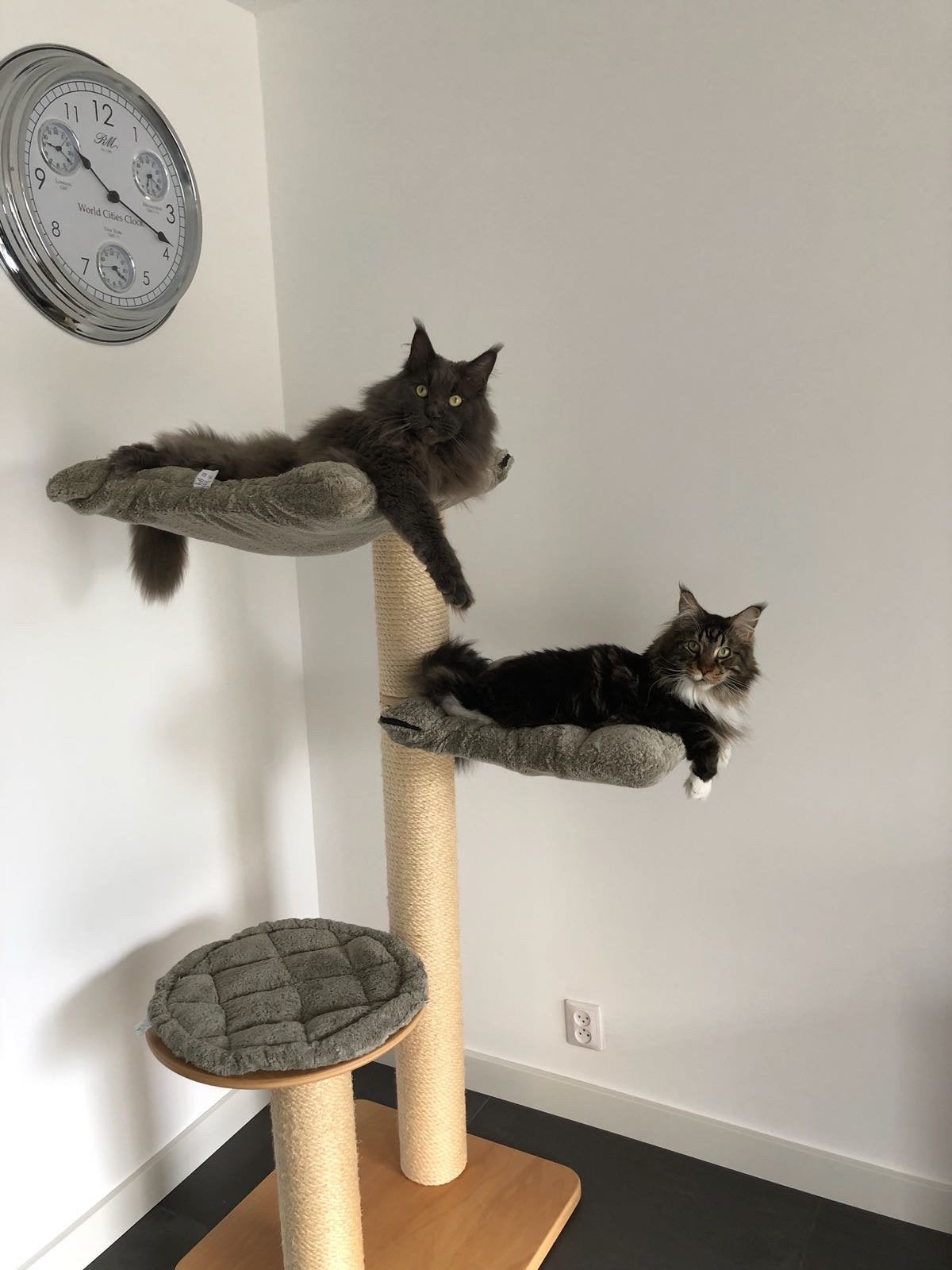 Katzendeco Krabpaal Leeuwarden 145cm, grijs-zeer goede staat, Dieren en Toebehoren, Krabmeubelen, Ophalen, Gebruikt, Krabpaal