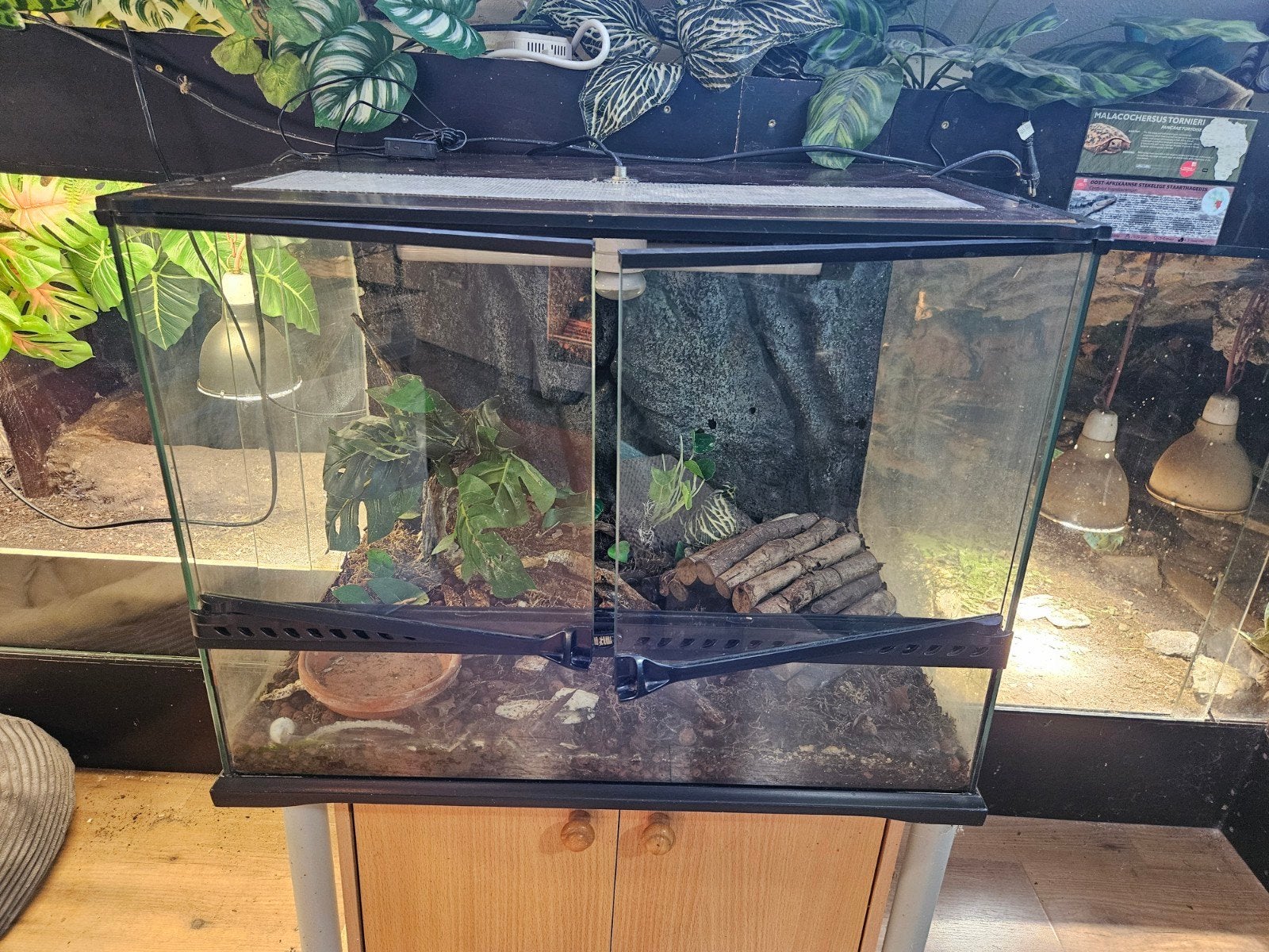 Exo Terra terrarium, Ophalen, Gebruikt, Terrarium of Paludarium