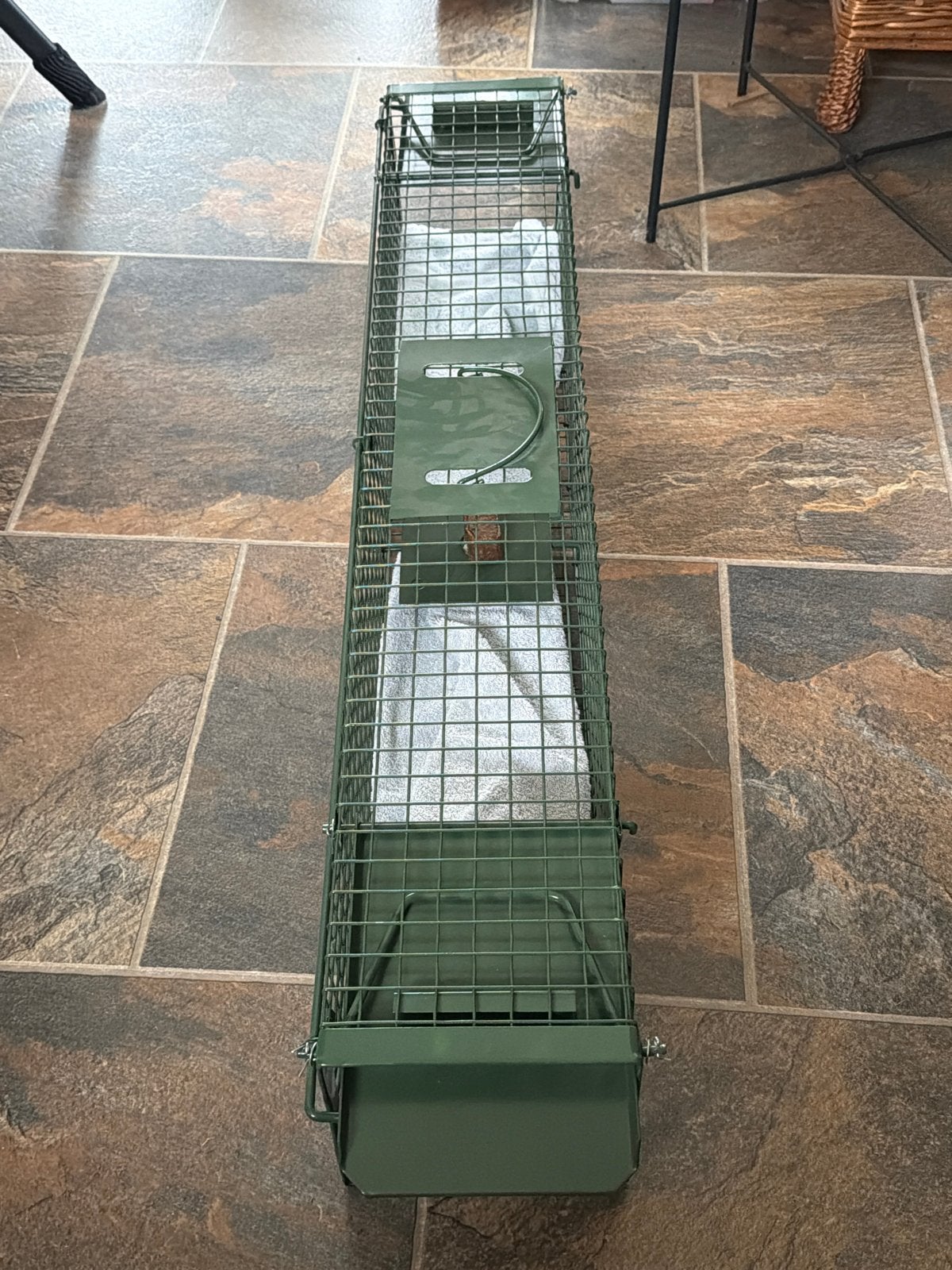 Vangkooi om ratten en marters te vangen, Ophalen, Nieuw