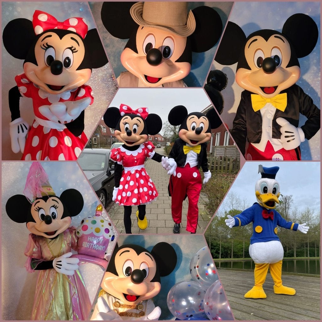 Mickey, Minnie of Donald Mascotte,  Events, kinderfeestje, Ophalen of Verzenden, Zo goed als nieuw, Verjaardag