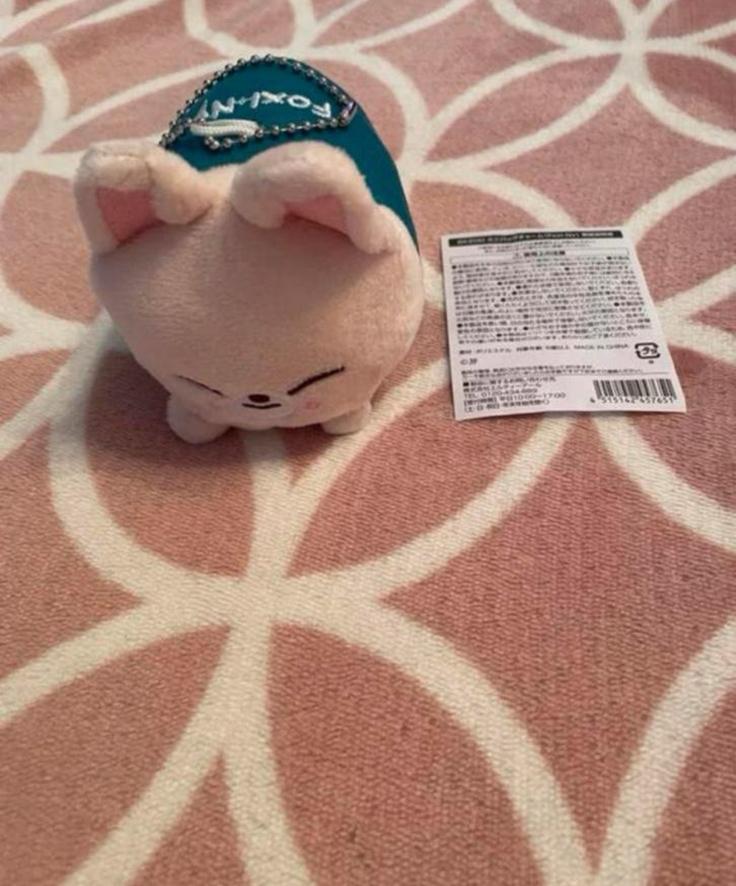 Stray Kids SKZOO FoxI.Ny bag charm plush, Ophalen of Verzenden, Zo goed als nieuw, Foto of Kaart