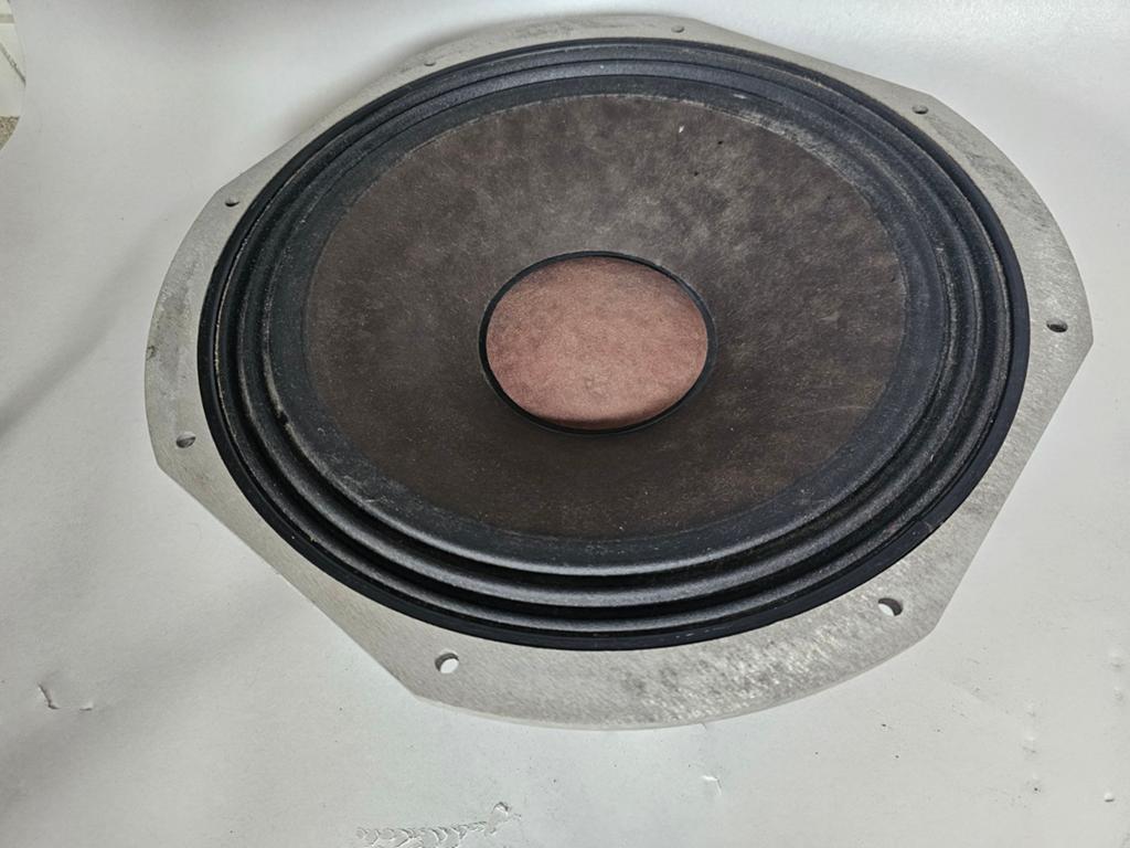 Peavey scorpion plus 15 inch speaker, Overige merken, Gebruikt, Overige typen, Ophalen of Verzenden