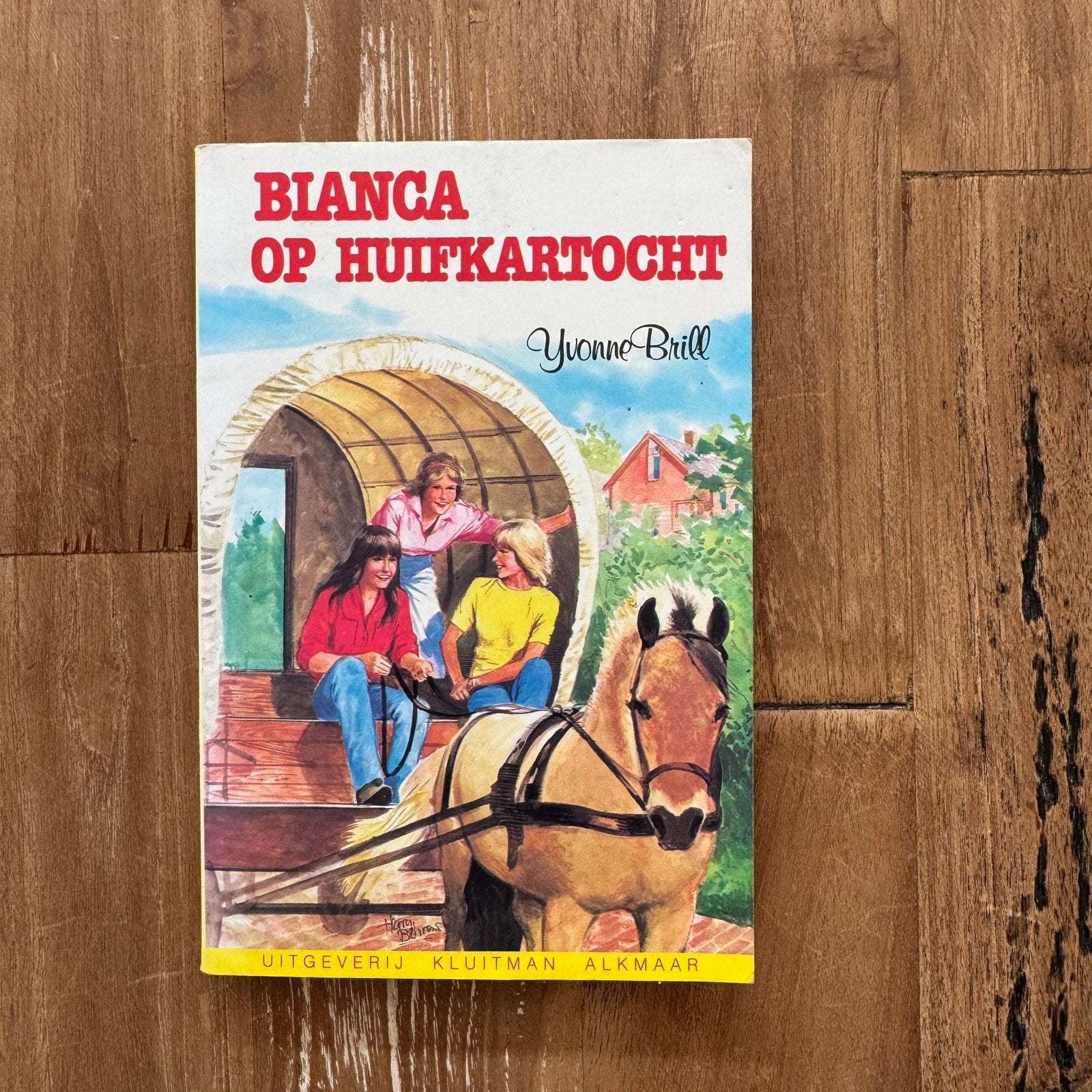 Bianca op Huifkartocht - Yvonne Brill (Jeugdboek), Ophalen of Verzenden, Gelezen, Fictie
