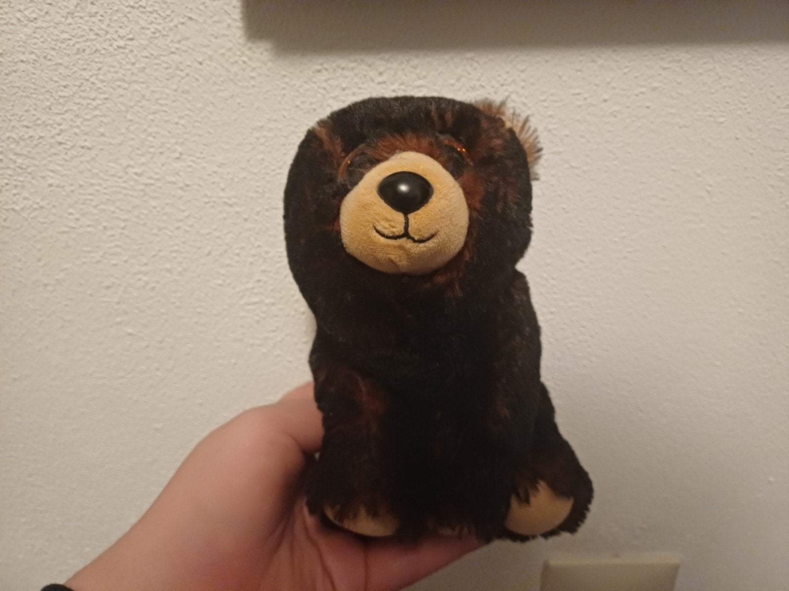Beanie Boo Beertje - Schattige Knuffelbeer, Beer, Ophalen of Verzenden, Klein (minder dan 20 cm), Bruin